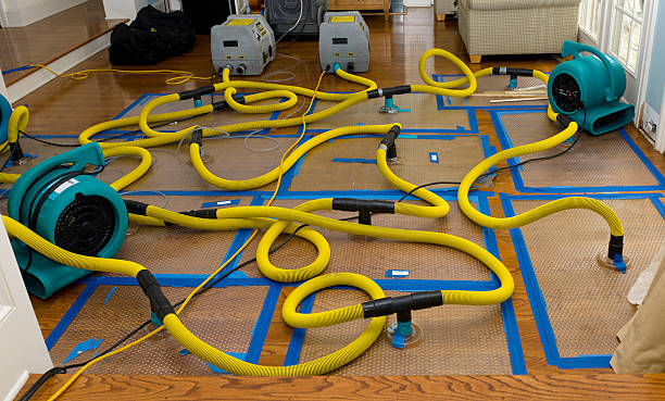 Professional Sewage Cleanup technician working in Hamburg, IA