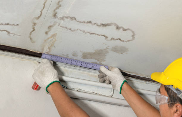 Affordable Water Damage Repair solutions in Hamburg, IA